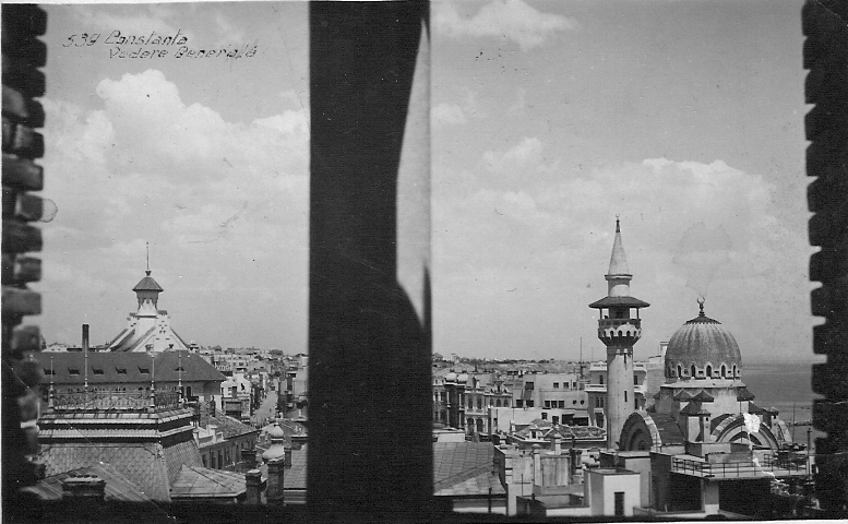 Vedere generală